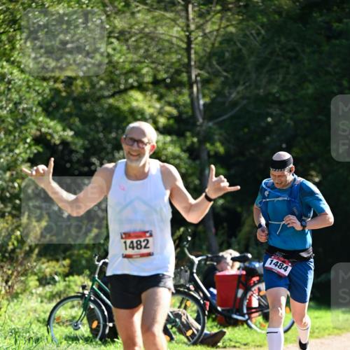 27.09.2026 - 35. Volkslauf durch das schöne Alstertal Dr. Thomas Lammeyer http://msf.ph/oto/10576473 27.09.2026 11:44:32 Laufen 1482, 1484 meine-sportfotos.de