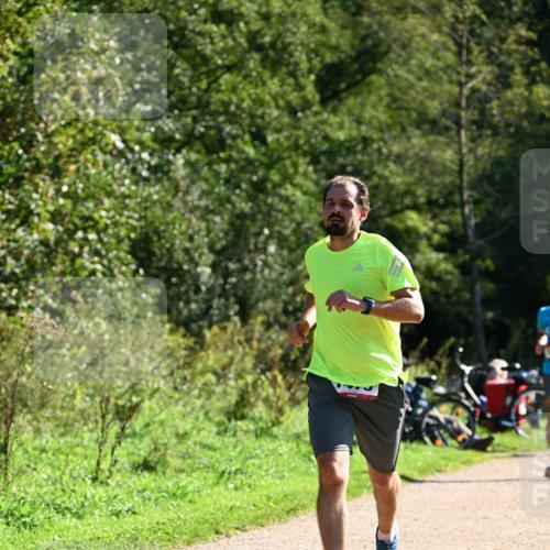 27.09.2026 - 35. Volkslauf durch das schöne Alstertal Dr. Thomas Lammeyer http://msf.ph/oto/10576517 27.09.2026 11:44:47 Laufen  meine-sportfotos.de