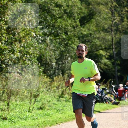 27.09.2026 - 35. Volkslauf durch das schöne Alstertal Dr. Thomas Lammeyer http://msf.ph/oto/10576519 27.09.2026 11:44:47 Laufen  meine-sportfotos.de