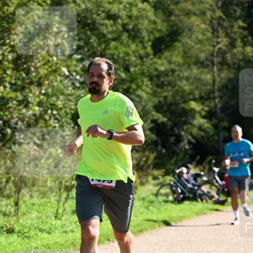 27.09.2026 - 35. Volkslauf durch das schöne Alstertal Dr. Thomas Lammeyer http://msf.ph/oto/10576525 27.09.2026 11:44:48 Laufen  meine-sportfotos.de