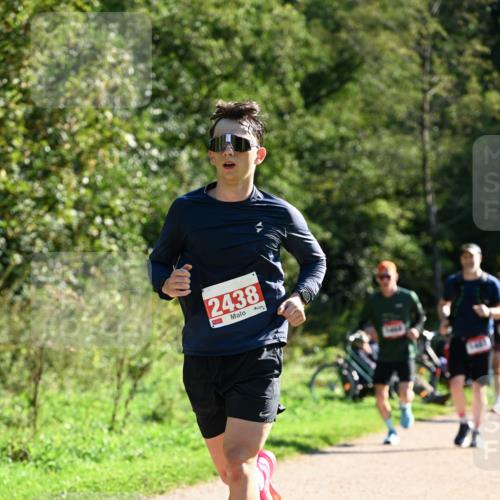 27.09.2026 - 35. Volkslauf durch das schöne Alstertal Dr. Thomas Lammeyer http://msf.ph/oto/10576551 27.09.2026 11:44:52 Laufen 2438 meine-sportfotos.de