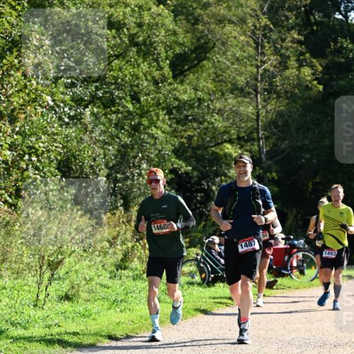 27.09.2026 - 35. Volkslauf durch das schöne Alstertal Dr. Thomas Lammeyer http://msf.ph/oto/10576559 27.09.2026 11:44:54 Laufen 1468, 1487, 1493 meine-sportfotos.de
