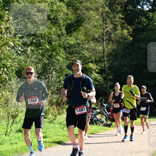 27.09.2026 - 35. Volkslauf durch das schöne Alstertal Dr. Thomas Lammeyer http://msf.ph/oto/10576567 27.09.2026 11:44:54 Laufen 1468, 1487, 1018, 1493 meine-sportfotos.de
