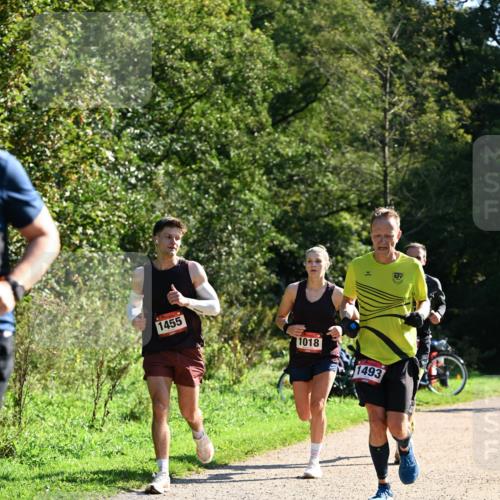 27.09.2026 - 35. Volkslauf durch das schöne Alstertal Dr. Thomas Lammeyer http://msf.ph/oto/10576583 27.09.2026 11:44:56 Laufen 1455, 1018, 1493 meine-sportfotos.de