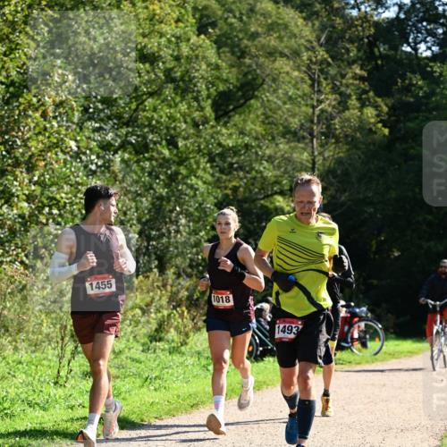 27.09.2026 - 35. Volkslauf durch das schöne Alstertal Dr. Thomas Lammeyer http://msf.ph/oto/10576587 27.09.2026 11:44:56 Laufen 1455, 1018, 1493 meine-sportfotos.de