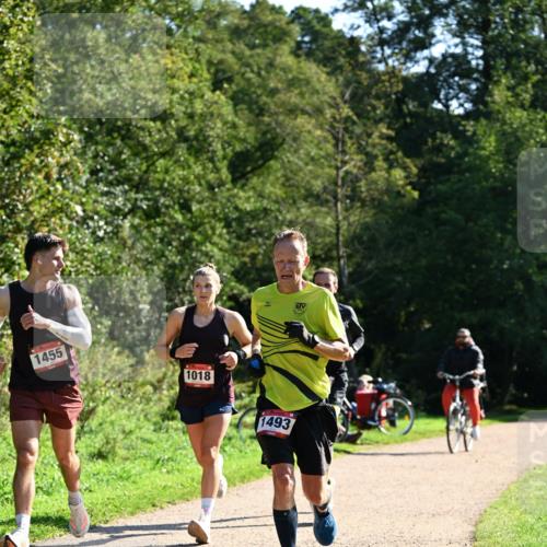 27.09.2026 - 35. Volkslauf durch das schöne Alstertal Dr. Thomas Lammeyer http://msf.ph/oto/10576589 27.09.2026 11:44:57 Laufen 1455, 1018, 1493 meine-sportfotos.de