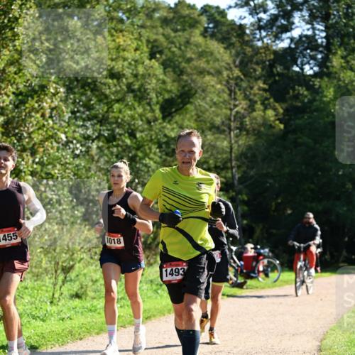 27.09.2026 - 35. Volkslauf durch das schöne Alstertal Dr. Thomas Lammeyer http://msf.ph/oto/10576591 27.09.2026 11:44:57 Laufen 1455, 1018, 1493 meine-sportfotos.de