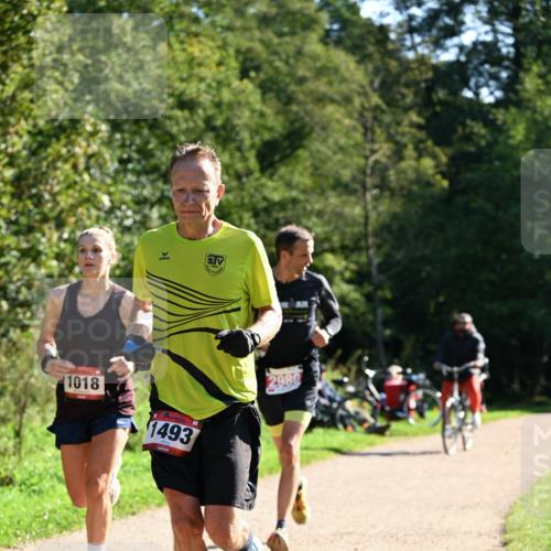 27.09.2026 - 35. Volkslauf durch das schöne Alstertal Dr. Thomas Lammeyer http://msf.ph/oto/10576597 27.09.2026 11:44:58 Laufen 1018, 1493, 2980 meine-sportfotos.de