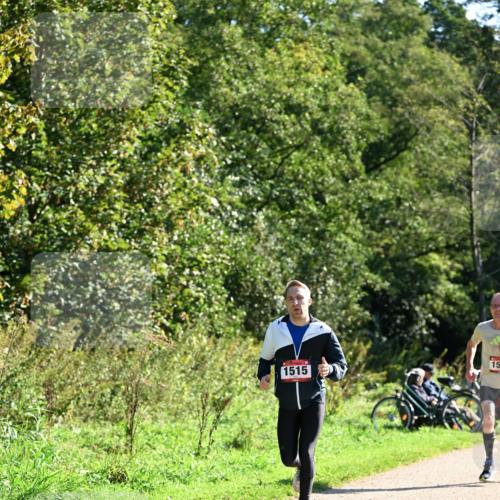 27.09.2026 - 35. Volkslauf durch das schöne Alstertal Dr. Thomas Lammeyer http://msf.ph/oto/10576653 27.09.2026 11:45:39 Laufen 1515, 1100, 150 meine-sportfotos.de