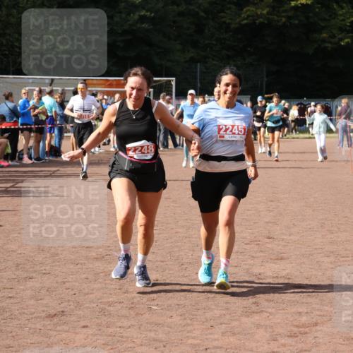 27.09.2026 - 35. Volkslauf durch das schöne Alstertal Strokosch-Dieckow http://msf.ph/oto/10576665 27.09.2026 12:31:09 Ziel 2012, 2013, 2245, 2248, 2310 meine-sportfotos.de