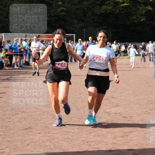 27.09.2026 - 35. Volkslauf durch das schöne Alstertal Strokosch-Dieckow http://msf.ph/oto/10576693 27.09.2026 12:31:09 Ziel 2012, 2013, 2245, 2248, 2310 meine-sportfotos.de