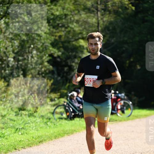 27.09.2026 - 35. Volkslauf durch das schöne Alstertal Dr. Thomas Lammeyer http://msf.ph/oto/10576720 27.09.2026 11:46:04 Laufen 2032, 4 meine-sportfotos.de