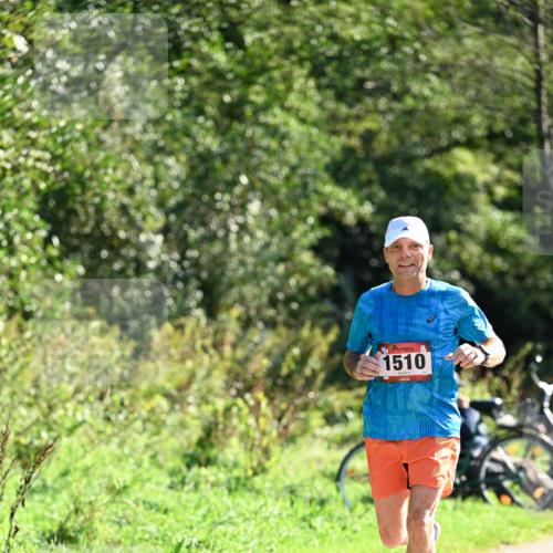 27.09.2026 - 35. Volkslauf durch das schöne Alstertal Dr. Thomas Lammeyer http://msf.ph/oto/10576730 27.09.2026 11:46:11 Laufen 1510 meine-sportfotos.de