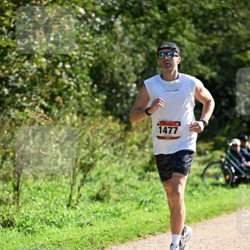 27.09.2026 - 35. Volkslauf durch das schöne Alstertal Dr. Thomas Lammeyer http://msf.ph/oto/10576735 27.09.2026 11:46:19 Laufen 1477 meine-sportfotos.de