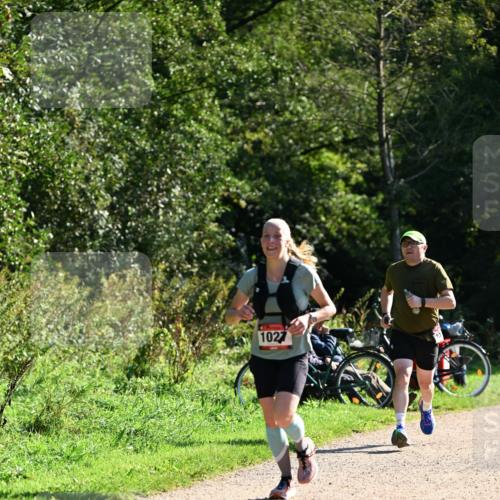 27.09.2026 - 35. Volkslauf durch das schöne Alstertal Dr. Thomas Lammeyer http://msf.ph/oto/10576760 27.09.2026 11:46:29 Laufen 1027 meine-sportfotos.de