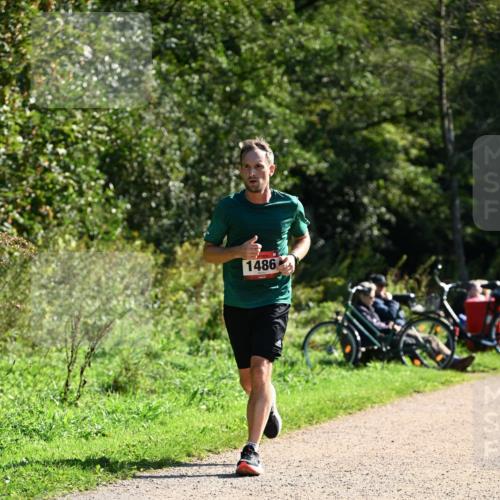 27.09.2026 - 35. Volkslauf durch das schöne Alstertal Dr. Thomas Lammeyer http://msf.ph/oto/10576786 27.09.2026 11:46:44 Laufen 1486 meine-sportfotos.de