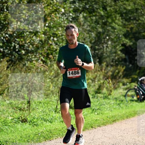 27.09.2026 - 35. Volkslauf durch das schöne Alstertal Dr. Thomas Lammeyer http://msf.ph/oto/10576795 27.09.2026 11:46:45 Laufen 1486 meine-sportfotos.de