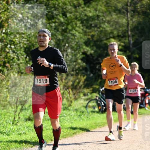 27.09.2026 - 35. Volkslauf durch das schöne Alstertal Dr. Thomas Lammeyer http://msf.ph/oto/10576813 27.09.2026 11:46:51 Laufen 1519, 1496, 1129 meine-sportfotos.de