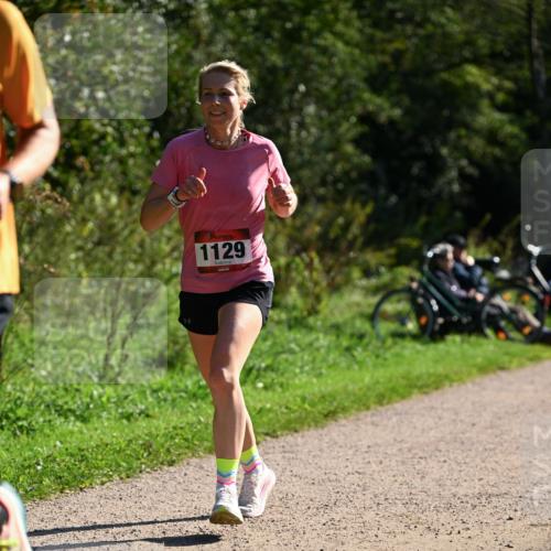 27.09.2026 - 35. Volkslauf durch das schöne Alstertal Dr. Thomas Lammeyer http://msf.ph/oto/10576822 27.09.2026 11:46:53 Laufen 3, 1129 meine-sportfotos.de