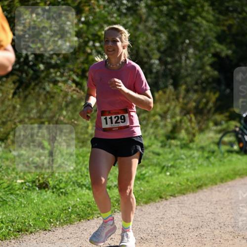 27.09.2026 - 35. Volkslauf durch das schöne Alstertal Dr. Thomas Lammeyer http://msf.ph/oto/10576824 27.09.2026 11:46:54 Laufen 1129 meine-sportfotos.de