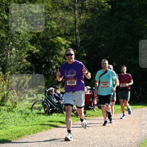 27.09.2026 - 35. Volkslauf durch das schöne Alstertal Dr. Thomas Lammeyer http://msf.ph/oto/10576840 27.09.2026 11:47:04 Laufen 1492, 1499, 1507 meine-sportfotos.de