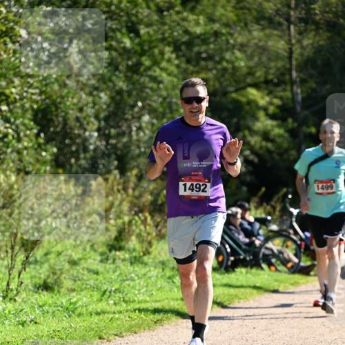 27.09.2026 - 35. Volkslauf durch das schöne Alstertal Dr. Thomas Lammeyer http://msf.ph/oto/10576843 27.09.2026 11:47:05 Laufen 31, 1492, 1499 meine-sportfotos.de
