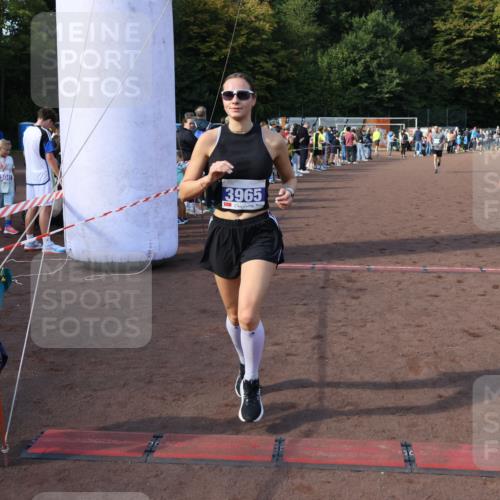 27.09.2026 - 35. Volkslauf durch das schöne Alstertal Strokosch-Dieckow http://msf.ph/oto/10576850 27.09.2026 11:19:51 Ziel 3057, 3343, 3964, 3965, 4084 meine-sportfotos.de