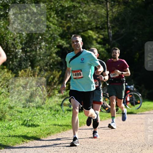27.09.2026 - 35. Volkslauf durch das schöne Alstertal Dr. Thomas Lammeyer http://msf.ph/oto/10576852 27.09.2026 11:47:07 Laufen 1499, 150 meine-sportfotos.de
