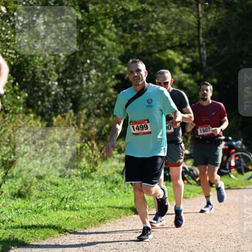 27.09.2026 - 35. Volkslauf durch das schöne Alstertal Dr. Thomas Lammeyer http://msf.ph/oto/10576854 27.09.2026 11:47:07 Laufen 1499, 1507 meine-sportfotos.de