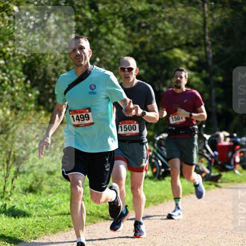 27.09.2026 - 35. Volkslauf durch das schöne Alstertal Dr. Thomas Lammeyer http://msf.ph/oto/10576860 27.09.2026 11:47:07 Laufen 1499, 1500, 150 meine-sportfotos.de