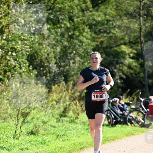 27.09.2026 - 35. Volkslauf durch das schöne Alstertal Dr. Thomas Lammeyer http://msf.ph/oto/10576885 27.09.2026 11:47:12 Laufen 1008 meine-sportfotos.de