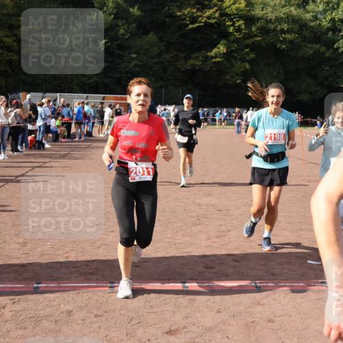 27.09.2026 - 35. Volkslauf durch das schöne Alstertal Strokosch-Dieckow http://msf.ph/oto/10576923 27.09.2026 12:31:19 Ziel 1086, 1649, 2011, 2012, 2013, 2198, 2310 meine-sportfotos.de