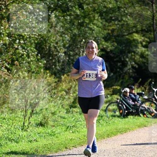 27.09.2026 - 35. Volkslauf durch das schöne Alstertal Dr. Thomas Lammeyer http://msf.ph/oto/10576932 27.09.2026 11:48:16 Laufen 3136 meine-sportfotos.de