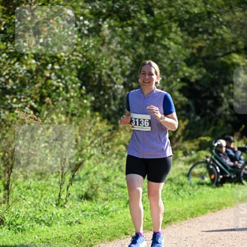 27.09.2026 - 35. Volkslauf durch das schöne Alstertal Dr. Thomas Lammeyer http://msf.ph/oto/10576934 27.09.2026 11:48:16 Laufen 3136 meine-sportfotos.de