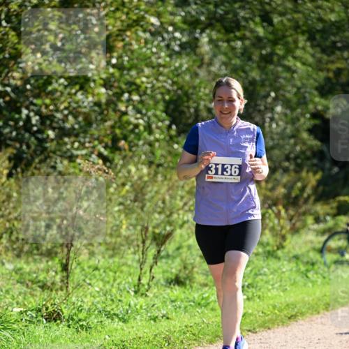 27.09.2026 - 35. Volkslauf durch das schöne Alstertal Dr. Thomas Lammeyer http://msf.ph/oto/10576938 27.09.2026 11:48:17 Laufen 3136 meine-sportfotos.de