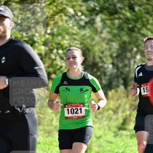 27.09.2026 - 35. Volkslauf durch das schöne Alstertal Dr. Thomas Lammeyer http://msf.ph/oto/10576966 27.09.2026 11:48:26 Laufen 15, 1021 meine-sportfotos.de