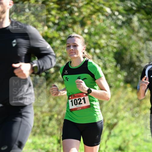 27.09.2026 - 35. Volkslauf durch das schöne Alstertal Dr. Thomas Lammeyer http://msf.ph/oto/10576969 27.09.2026 11:48:27 Laufen 1021 meine-sportfotos.de