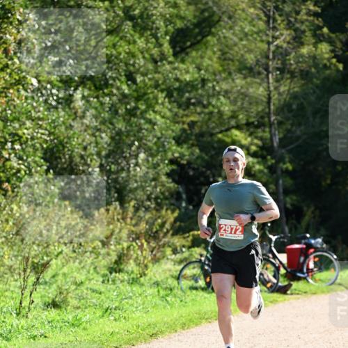 27.09.2026 - 35. Volkslauf durch das schöne Alstertal Dr. Thomas Lammeyer http://msf.ph/oto/10576990 27.09.2026 11:49:12 Laufen 2972 meine-sportfotos.de