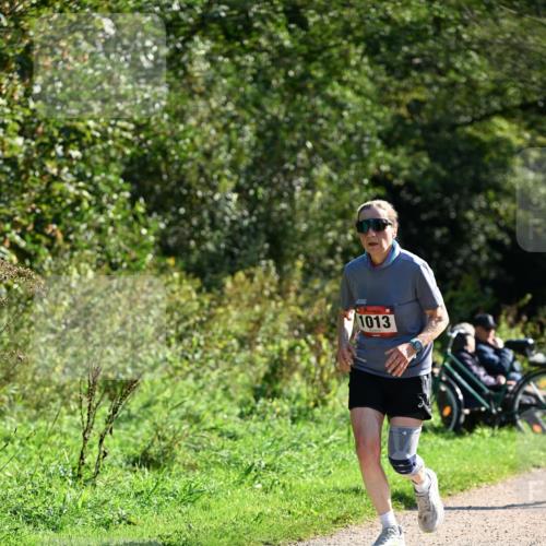 27.09.2026 - 35. Volkslauf durch das schöne Alstertal Dr. Thomas Lammeyer http://msf.ph/oto/10577057 27.09.2026 11:49:38 Laufen 1013 meine-sportfotos.de