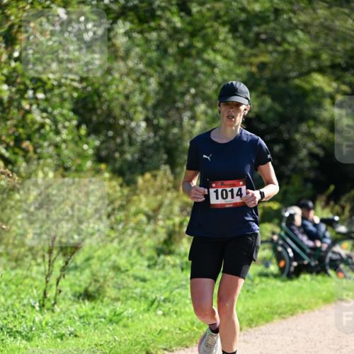 27.09.2026 - 35. Volkslauf durch das schöne Alstertal Dr. Thomas Lammeyer http://msf.ph/oto/10577072 27.09.2026 11:49:40 Laufen 1014 meine-sportfotos.de