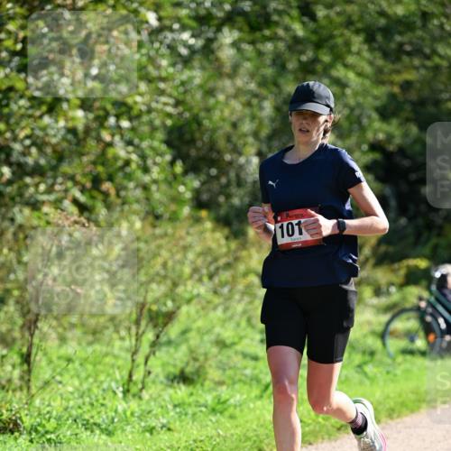 27.09.2026 - 35. Volkslauf durch das schöne Alstertal Dr. Thomas Lammeyer http://msf.ph/oto/10577075 27.09.2026 11:49:40 Laufen 101 meine-sportfotos.de