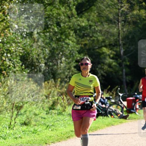 27.09.2026 - 35. Volkslauf durch das schöne Alstertal Dr. Thomas Lammeyer http://msf.ph/oto/10577089 27.09.2026 11:49:56 Laufen 101 meine-sportfotos.de