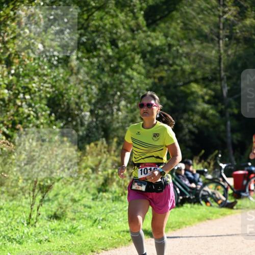 27.09.2026 - 35. Volkslauf durch das schöne Alstertal Dr. Thomas Lammeyer http://msf.ph/oto/10577090 27.09.2026 11:49:56 Laufen 10 meine-sportfotos.de