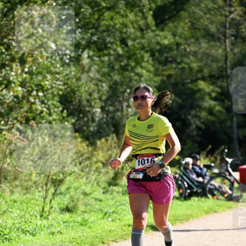 27.09.2026 - 35. Volkslauf durch das schöne Alstertal Dr. Thomas Lammeyer http://msf.ph/oto/10577091 27.09.2026 11:49:56 Laufen 1016 meine-sportfotos.de