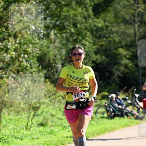 27.09.2026 - 35. Volkslauf durch das schöne Alstertal Dr. Thomas Lammeyer http://msf.ph/oto/10577093 27.09.2026 11:49:56 Laufen 101 meine-sportfotos.de