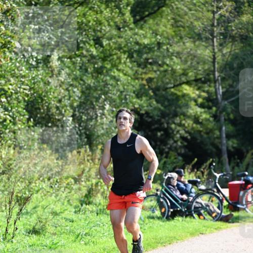 27.09.2026 - 35. Volkslauf durch das schöne Alstertal Dr. Thomas Lammeyer http://msf.ph/oto/10577125 27.09.2026 11:50:15 Laufen  meine-sportfotos.de