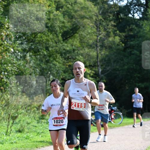 27.09.2026 - 35. Volkslauf durch das schöne Alstertal Dr. Thomas Lammeyer http://msf.ph/oto/10577165 27.09.2026 11:50:37 Laufen 2119, 1533, 1020 meine-sportfotos.de