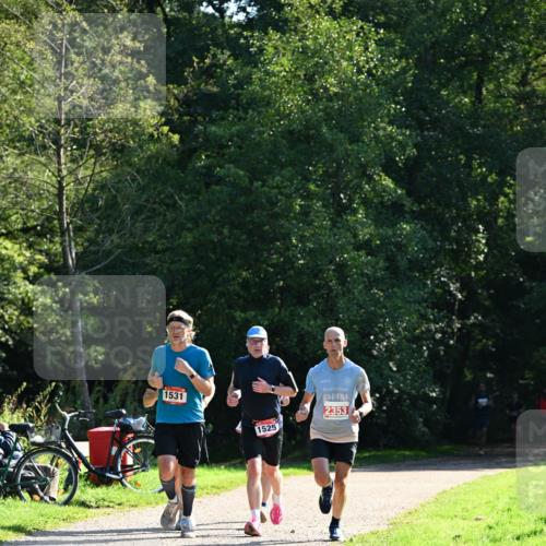 27.09.2026 - 35. Volkslauf durch das schöne Alstertal Dr. Thomas Lammeyer http://msf.ph/oto/10577234 27.09.2026 11:51:25 Laufen 1531, 1525, 2353 meine-sportfotos.de
