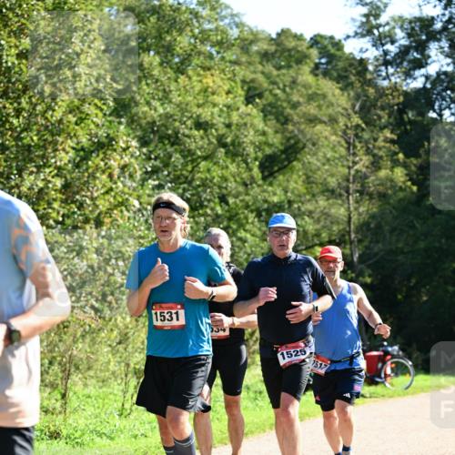 27.09.2026 - 35. Volkslauf durch das schöne Alstertal Dr. Thomas Lammeyer http://msf.ph/oto/10577254 27.09.2026 11:51:29 Laufen 1531, 1525, 1517 meine-sportfotos.de