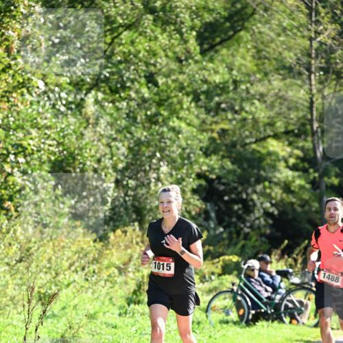 27.09.2026 - 35. Volkslauf durch das schöne Alstertal Dr. Thomas Lammeyer http://msf.ph/oto/10577284 27.09.2026 11:51:43 Laufen 1015, 1488 meine-sportfotos.de